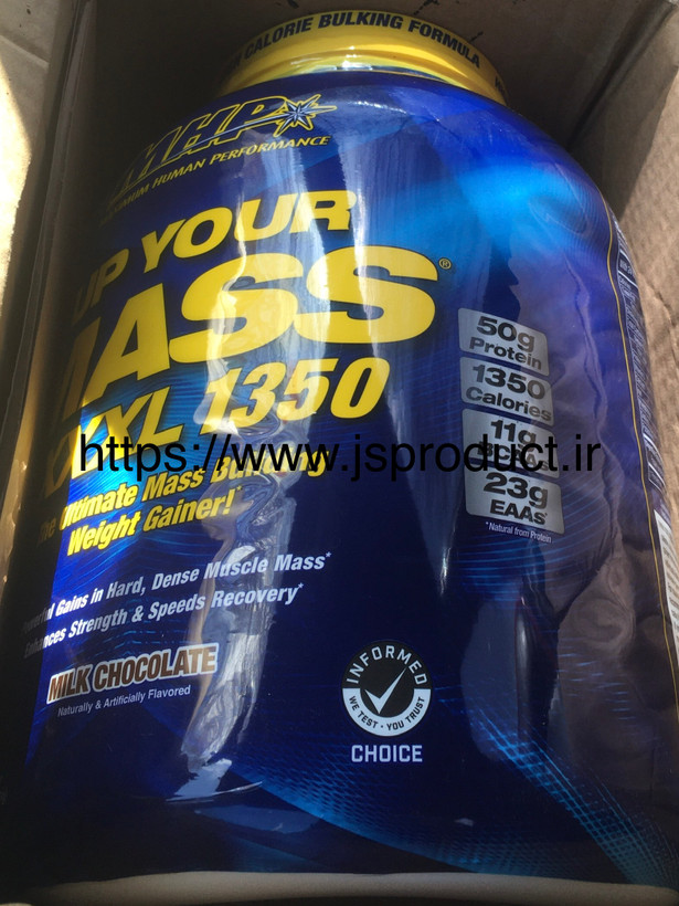 گینر ام اچی پی UP YOUR MASS اصلی